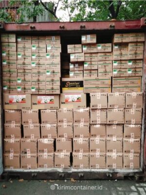 Tarif Pengiriman Container Jakarta Pangkalan Bun Murah